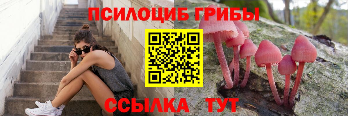 Галлюциногенные грибы GOLDEN TEACHER Обнинск