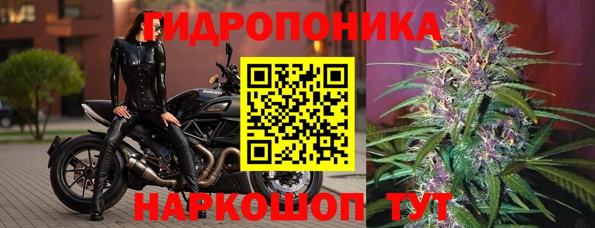 Бошки Шишки планчик Обнинск